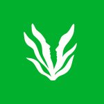 Jak wspierać bliską osobę w obliczu poważnej choroby i kryzysu.